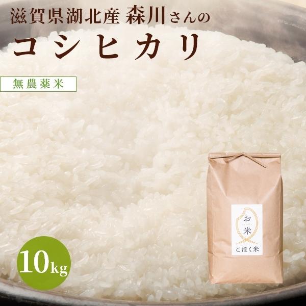 滋賀県産無農薬コシヒカリ10kg コシヒカリ 滋賀県湖北産 森川さんのコシヒカリ10kg 【無農薬米