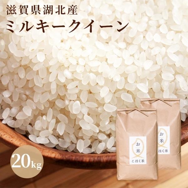 ミルキークイーン 令和6年 滋賀県湖北産 湖北のミルキー ミルキークイーン 令和6年 滋賀県湖北産 湖北のミルキー