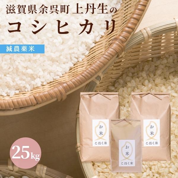 コシヒカリ 令和6年 滋賀県余呉町産 上丹生のコシヒカリ 25kg 食味 