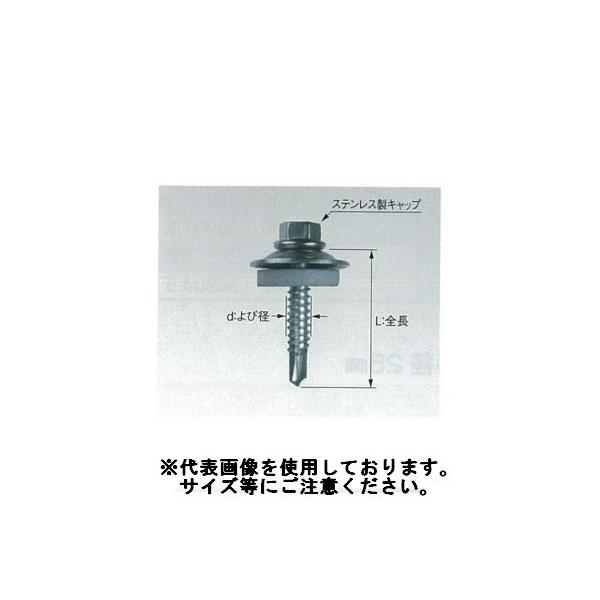 ステンキャップ 山座セット 座金外径25mm 6×45 100本入 6945CYH 若井産業 WAKAI
