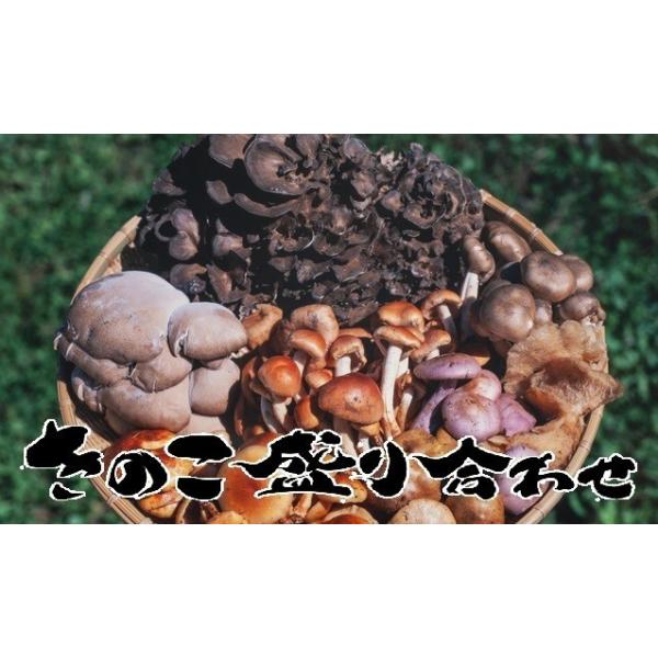 okuaizushunsaikan-y_10000000c