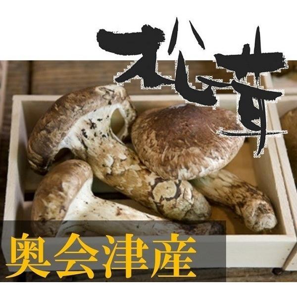 松茸 国産 松茸 大きさ不揃い 約300g 南会津町産 岩手県産 マツタケ 