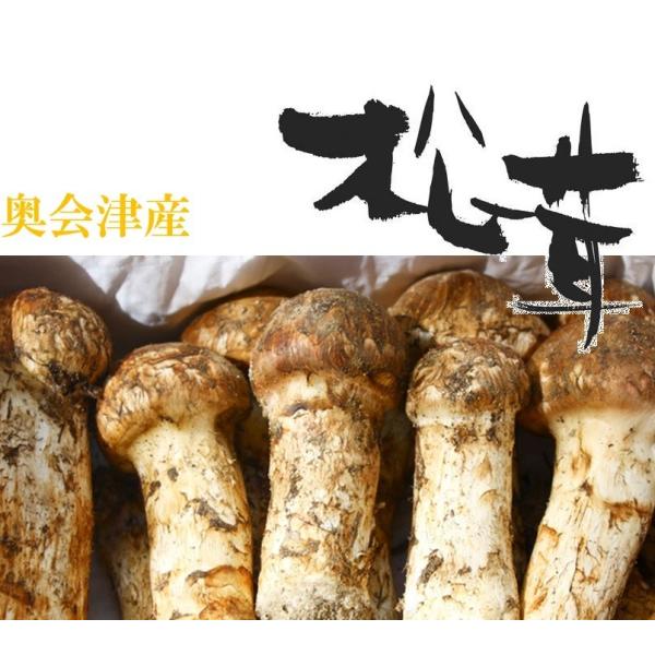 okuaizushunsaikan-y_7777