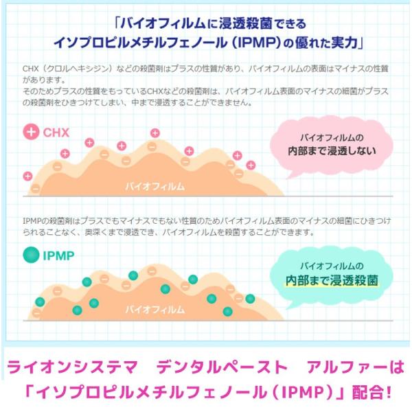 お試し ライオン システマ デンタルペーストa アルファ g Buyee 日本代购平台 产品购物网站大全 Buyee一站式代购 Bot Online