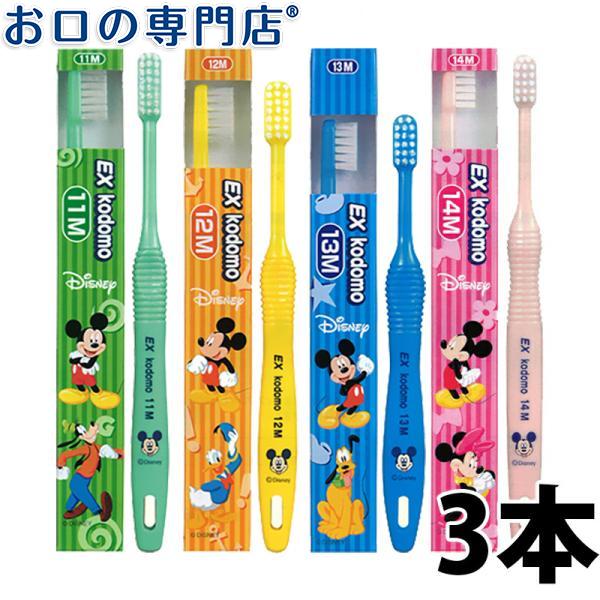 セールLION歯磨き指導用模型・ブラシ付き