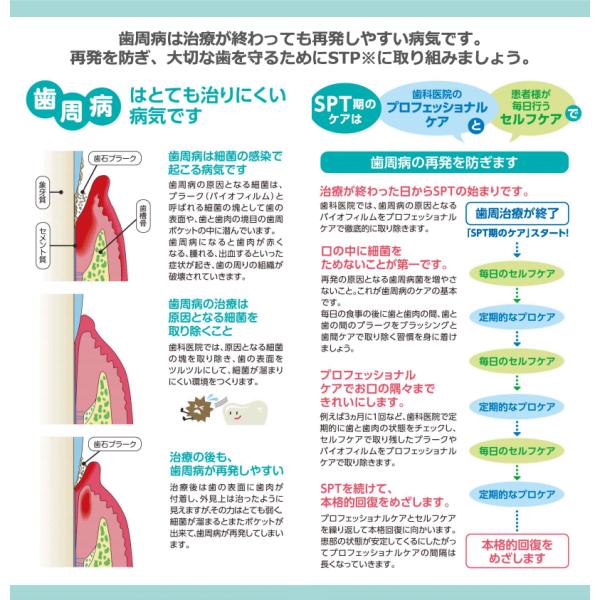 ライオン システマsp T メディカルガーグル ml 洗口液 マウスウォッシュ Buyee Buyee Japanese Proxy Service Buy From Japan Bot Online