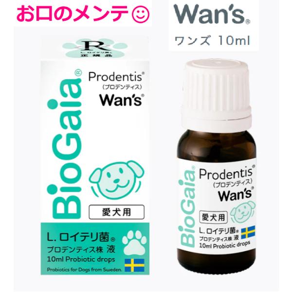 ロイテリ菌 チェスくんのはみがき 10mL バイオガイア イヌ用ワンズ ペットの口腔ケア ペットケア チェスくんのハミガキ リキッド サプリ Wan’ｓ