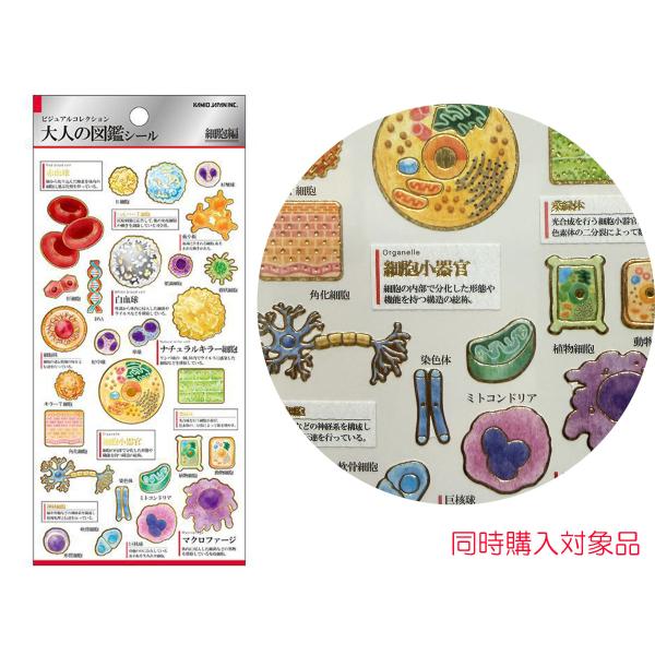 同時購入特典有　大人の図鑑シール 　細胞編