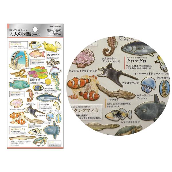 有料ネコポス　大人の図鑑シール 　暖かい海の生き物編
