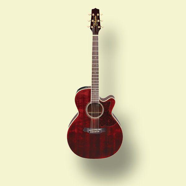 Takamine DMP551C タカミネ エレアコ 【専用ハードケース付 