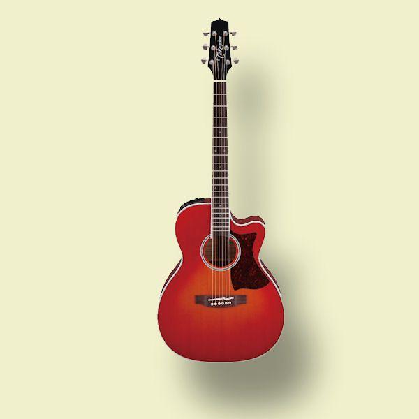 Takamine DMP751C タカミネ エレアコ 【専用ハードケース付