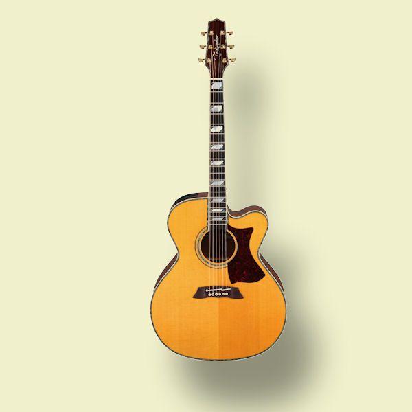 Takamine DSP000 タカミネ エレアコ【専用ハードケース付  