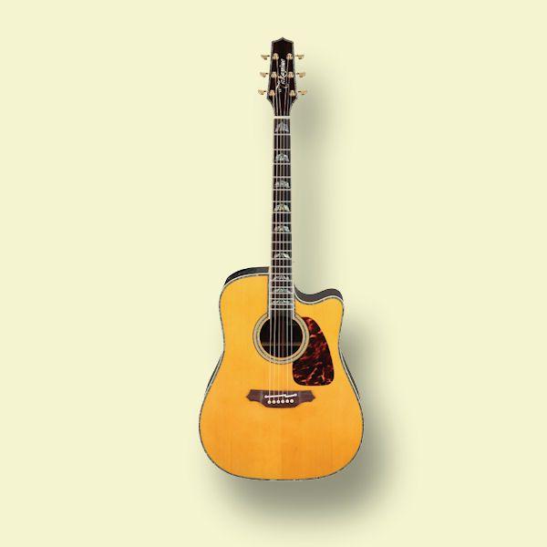 タカミネ アコースティック ギターの人気商品・通販・価格比較 - 価格.com