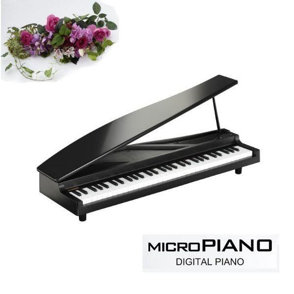 Korg micro sale piano