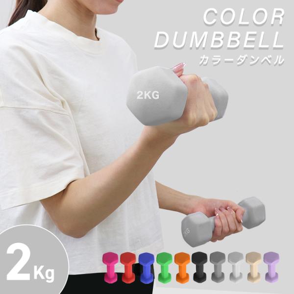 鉄アレイ２キログラム 鉄アレイ2キログラム 鉄アレー 2kg【トレーニング小物】 | 株式