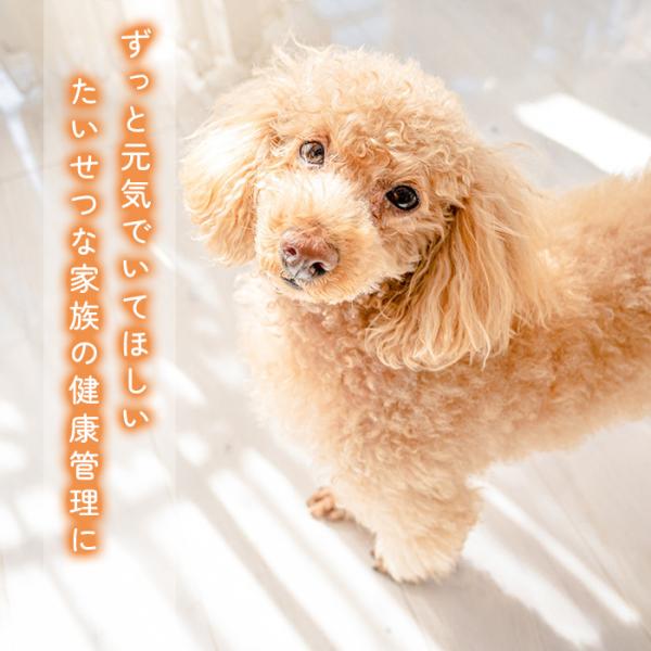 okurimonoya1_sakbabytaijukei_1