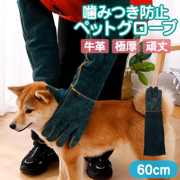噛みつきやひっかきから腕や手を守る厚手牛革製のペットグローブ。厚手の手袋なのでひっかきや噛みつきでも安心傷つきません。耐摩耗性・耐熱性に優れているのでキャンプやDIY、ガーデニングなどでもお使いいただけます。木の枝やトゲなどに刺さることがな...