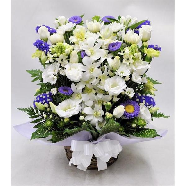 生花 菊 お悔やみの人気商品・通販・価格比較 - 価格.com 生花 菊 お悔やみの人気商品・通販・価格比較 - 価格.com