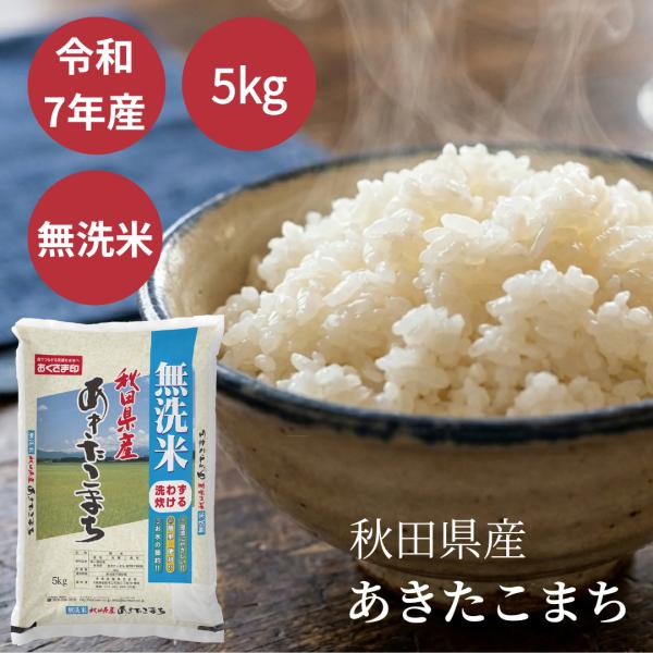 米 無洗米 5kg あきたこまち 秋田県産 令和7年産 白米 単一原料米 送料無料 父の日