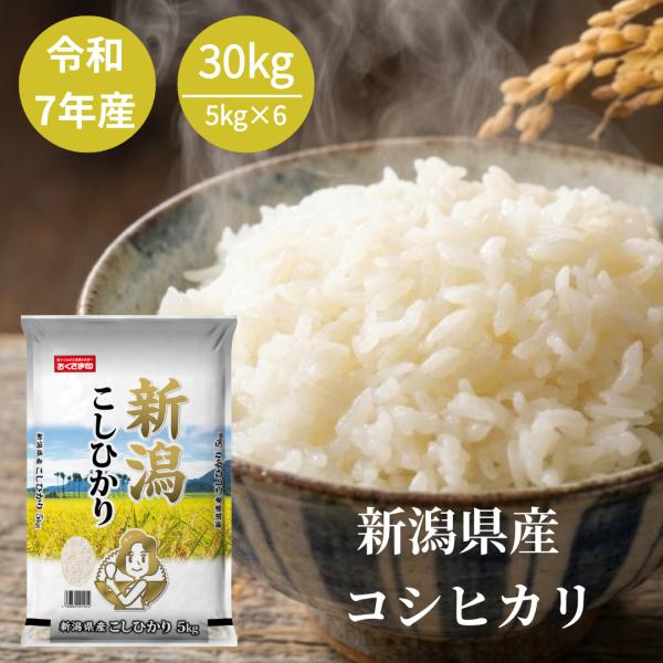 米 お米 30kg 5kg6セット コシヒカリ 新潟県産 令和7年産 白米 単一原料米 送料無料