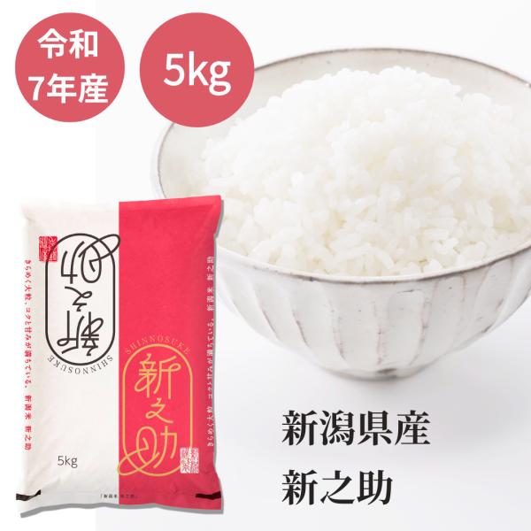 米 5kg 新之助 新潟県産 令和7年産 白米 単一原料米 送料無料