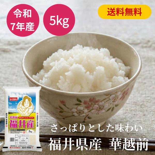 おくさま印 令和7年産 福井県産 華越前 白米 普通精米 5kg