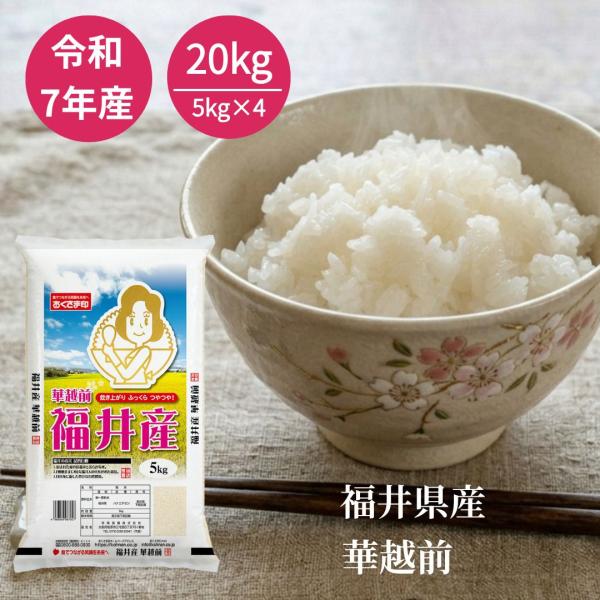 おくさま印 令和7年産 福井県産 華越前 白米 普通精米 20kg