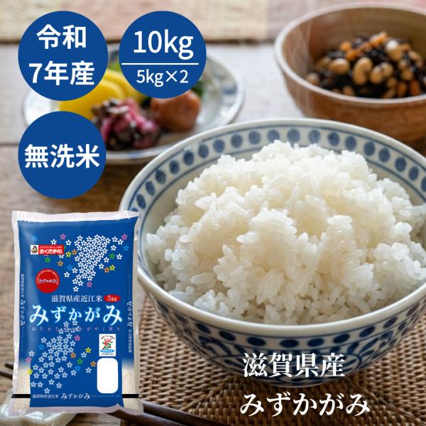 無洗米 米 お米 10kg （5kg×2袋） みずかがみ 滋賀県産 令和7年産 白米 送料無料 単一原料米 おくさま印 近江米 特A実績