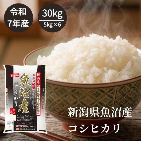 米 お米 30kg 5kg6セット 魚沼産コシヒカリ 新潟県産 令和7年産 白米 単一原料米 送料無料