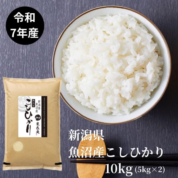 無洗米 米 お米 10kg 5kg2セット 魚沼産コシヒカリ 新潟県産 令和7年産 白米 単一原料米 おくさま印 送料無料 爆買