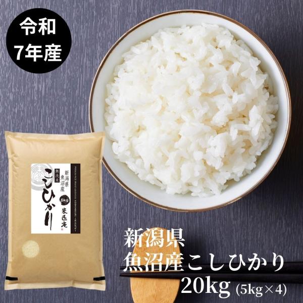 無洗米 米 お米 20kg 5kg4セット 魚沼産コシヒカリ 新潟県産 令和7年産 白米 単一原料米 おくさま印 送料無料