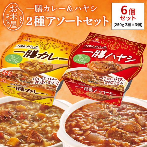 一膳カレー 一膳ハヤシ ごはん付き 250g×6個 レトルトカレー レトルトハヤシ  ハヤシライス 一人前 簡単調理 時短 常温保存可 おくさま印
