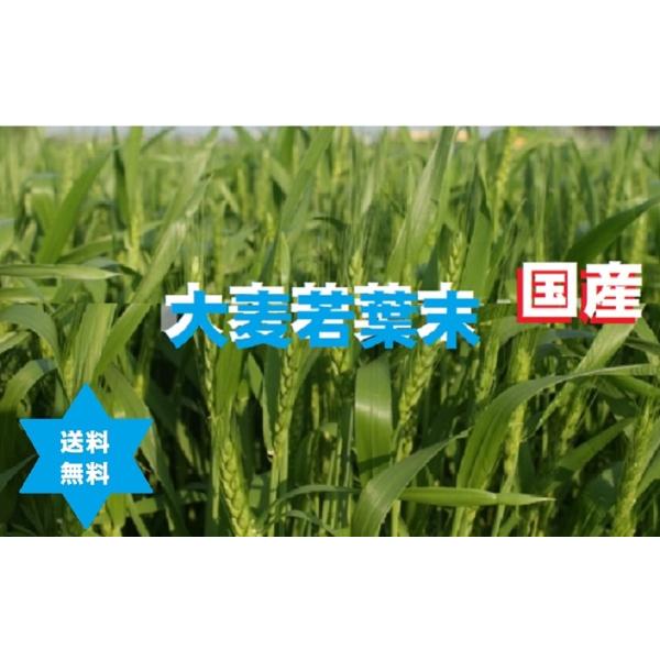 【健康食品】オオムギワカバマツ 大麦若葉末1Kｇ1袋 国産100％,高級高圧蒸気滅菌,無添加品,青汁,送料当社負担