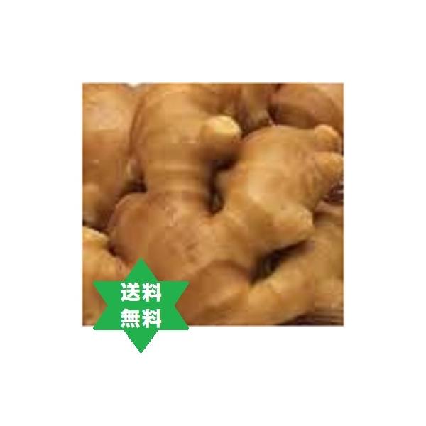 【健康食品】カンキョ 乾姜末500ｇ1袋 粉末 送料当社負担・高圧蒸気滅菌無添加