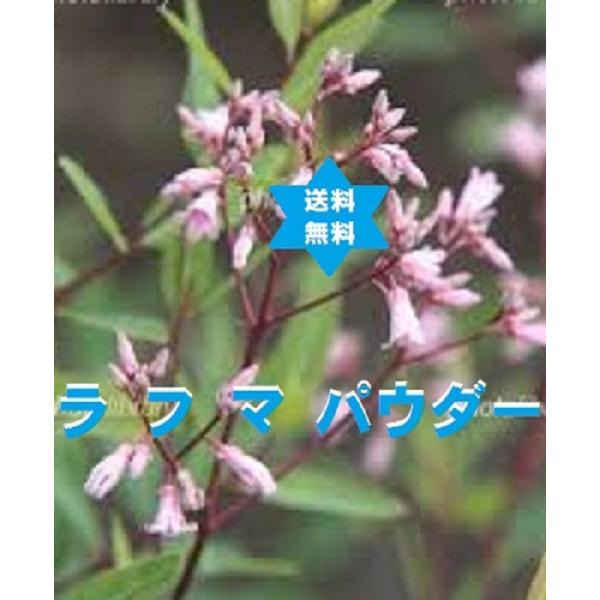 【健康食品】ラフマチャ 羅布麻茶(紅)粉末・500g2袋(1kg入り)ラフマ・高級焙煎100%滅菌済・無添加・送料当店負担