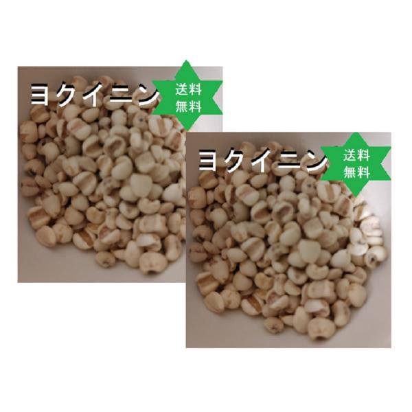 【健康食品】ハトムギ ヨクイニン500ｇ皮去り2袋 .送料当社負担,無添加100%.(ひと晩,水に浸け,お米と炊くと簡単に柔らかく食べれます)