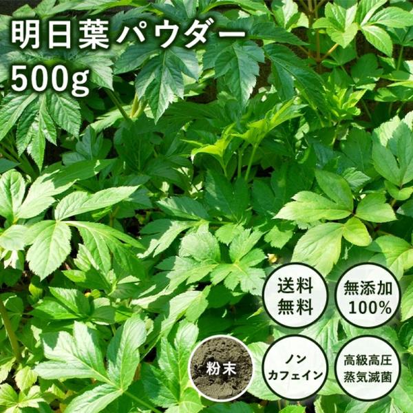 【健康食品】アシタバ　明日葉 パウダー500ｇ・送料当社負担・無添加100%・高級高圧蒸気滅菌 ・オ-ガニック青汁 無添加ノンカフェイン  食物繊維 子供 健康飲料.
