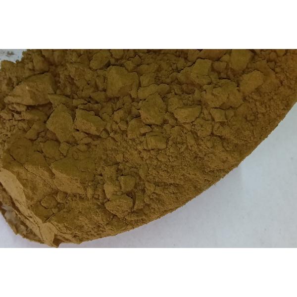 【健康食品】 苦丁茶末クテイチャ 100g1袋(粉末)送料当社負担・高級高圧焙煎滅菌品・無添加・無農薬