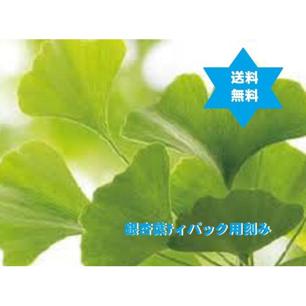 【健康食品】イチョウヨウチャ 銀杏葉茶 500g1袋 TB刻(ティパック用3mmカット)送料当店負担・イチョウヨウ茶・高級焙煎・スソ抜き無添加焙煎滅菌茶葉