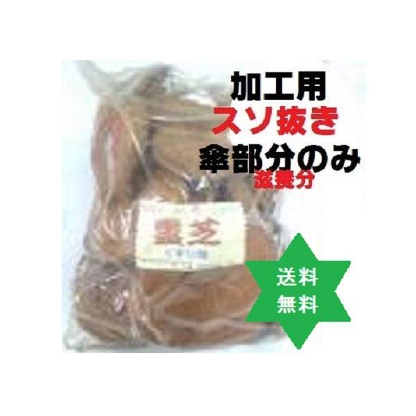 【健康食品】レイシ 霊芝原型500ｇ 霊芝傘部分の滋養分 中サイズ加工用霊芝原型 無添加100% 中国産・送料当店負担