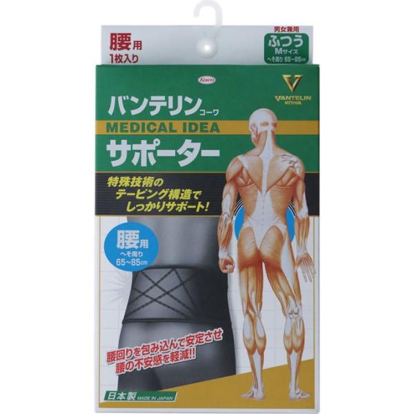 oeR[T|[^[ p ӂTCY@1@2@@T|[^[@@@@×pi@