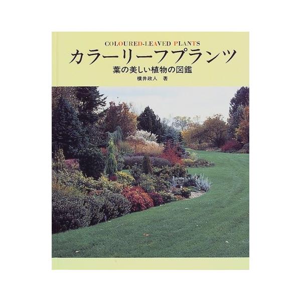 半額以下セール対象商品 中古 中古 Sxa7 カラーリーフプランツ 葉の美しい植物の図鑑 Sxa7 Olapヤフー店 理学 工学 カラーリーフプランツ 葉の美しい植物の図鑑