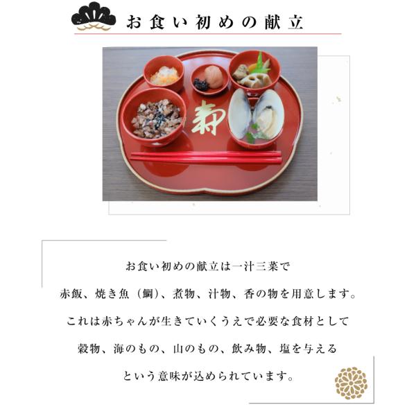 男の子 朱色 女の子 黒色 お食い初め 赤ちゃん 祝い膳食器セット 百日膳松竹梅 ギフト プレゼント Buyee Buyee Japanese Proxy Service Buy From Japan Bot Online