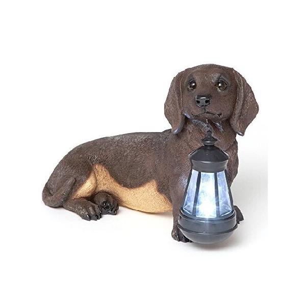 【並行輸入品】 Bits and Pieces - 犬用ソーラーランタン像 - ソーラーパワーガーデンランタン - LEDライト付き樹脂犬の彫刻 - 屋外照明と装飾(ダックスフント)