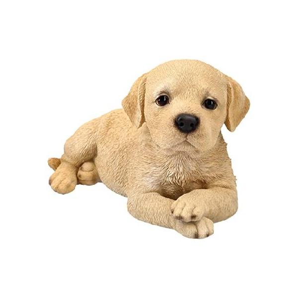 並行輸入品】 Pacific Giftware ラブラドール子犬 横たわる置物 長さ