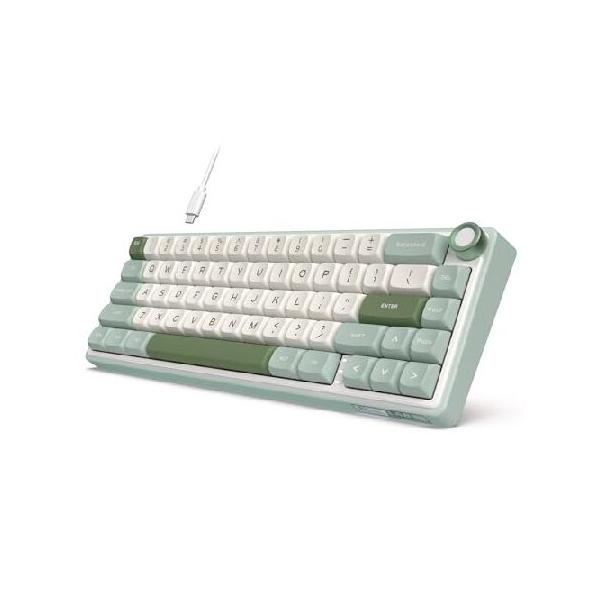 並行輸入品】 RK ROYAL KLUDGE R65 有線メカニカルキーボード