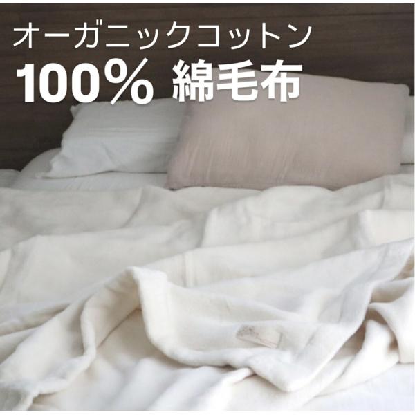 オーガニックコットン100 フルオーガニックコットン 毛布 泉州南部織 日本製 国産 シンプル 綿 ナチュラル 温かい 軽やか 肌に優しい プレゼント 高品質 無地