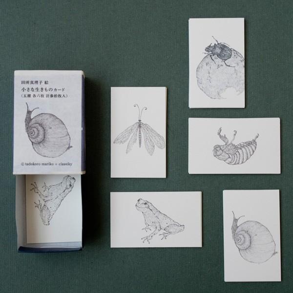 q~ӏv掺 Ȑ̃J[h 30 io؃}b`j