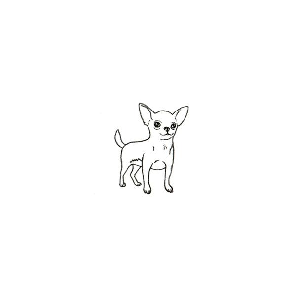 アニマルスタンプ イヌ C チワワ 対象商品3点以上でメール便送料無料 犬 いぬ 動物はんこ グッズ かわいい おしゃれ 手帳 B6 雑貨 文房具 ナチュラル ゴム印 Os054 オリーブアベニュー 通販 Yahoo ショッピング