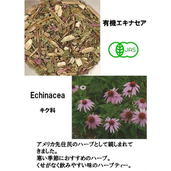 ハーブティー 有機 エキナセア ティーバッグ ハーブティー １０ヶ入 生活の木 オーガニック Buyee Buyee Japanese Proxy Service Buy From Japan Bot Online
